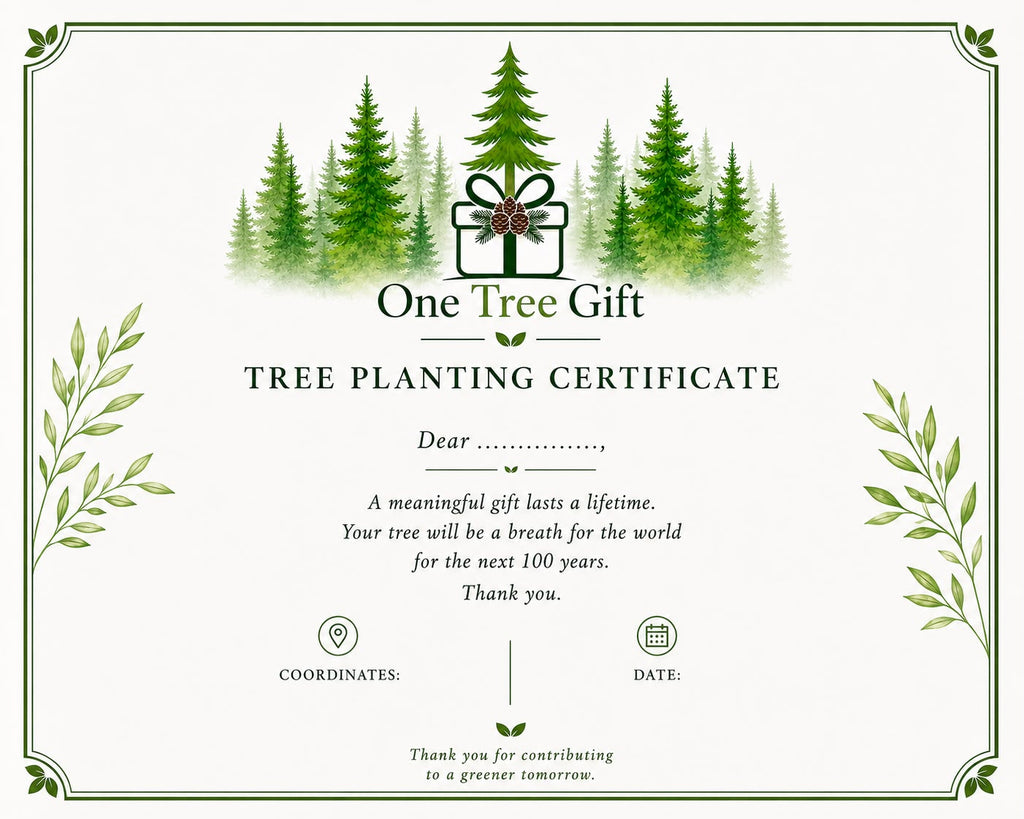 OneTreeGift - Family Package