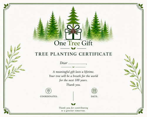 OneTreeGift - Family Package